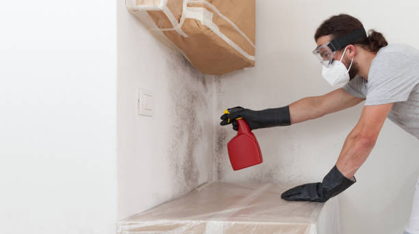 Professional Mold Removal technician working in Bayonne, NJ