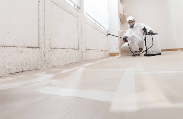 24/7 Emergency Mold Removal experts in Bayonne, NJ